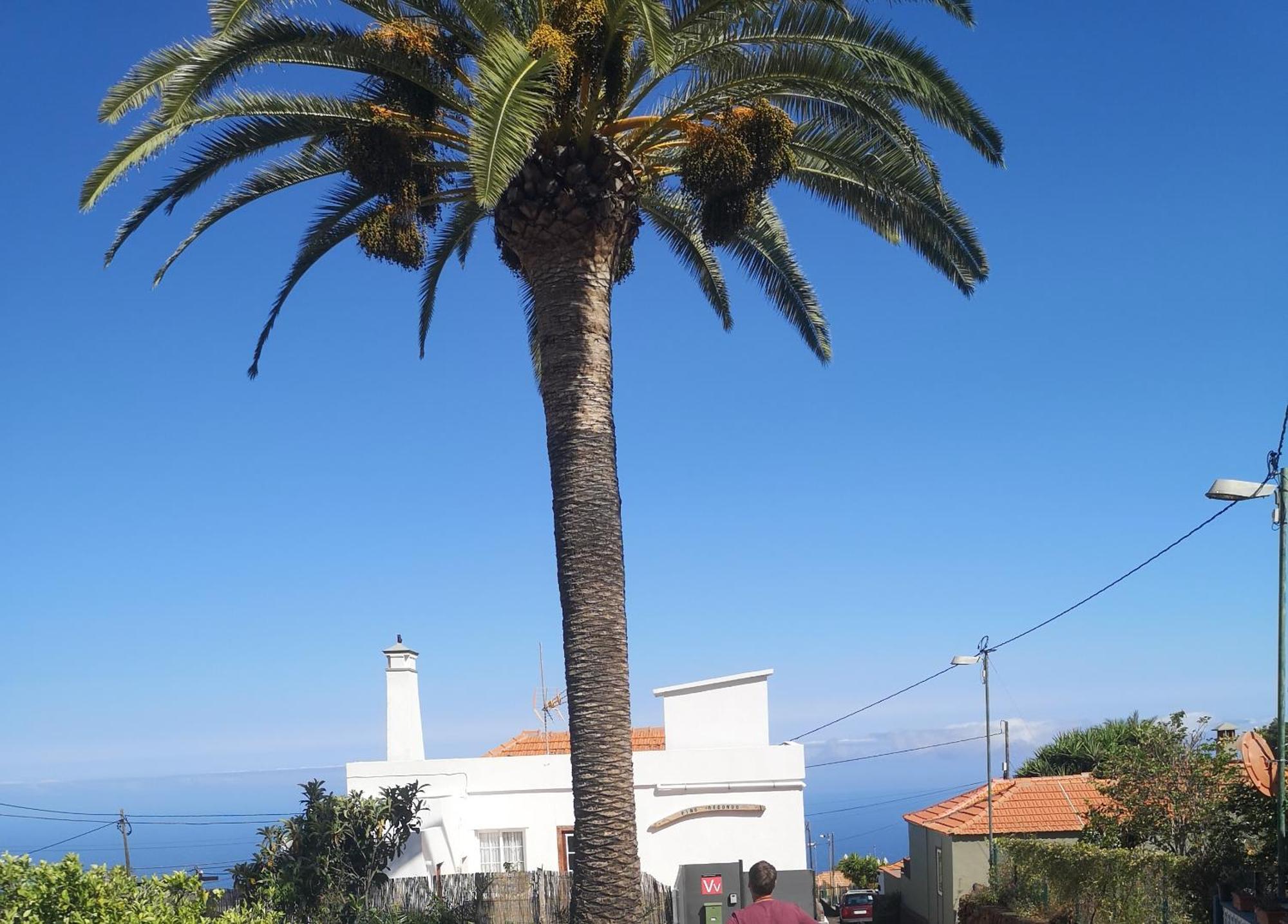 Villa Pino Redondo Puntagorda Exterior foto